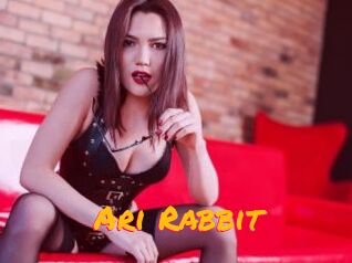 Ari_Rabbit