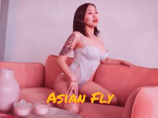 Asian_Fly