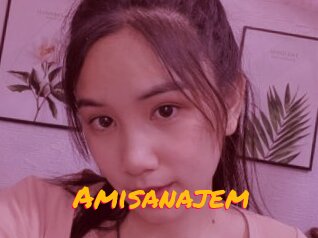 Amisanajem