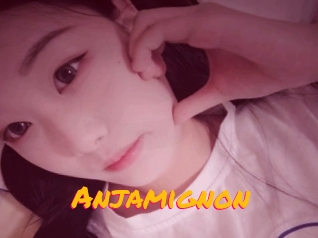 Anjamignon