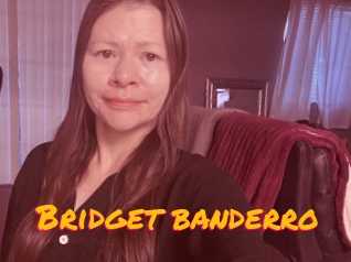 Bridget_banderro