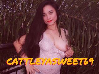 CATTLEYASWEET69