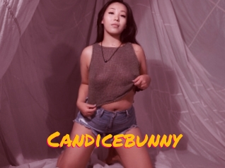 Candicebunny
