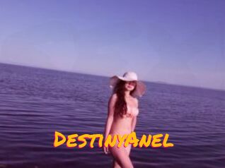 DestinyAnel