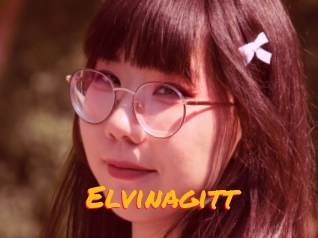 Elvinagitt