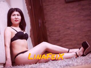 LinaFeiX