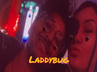 Laddybug
