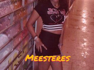 Meesteres