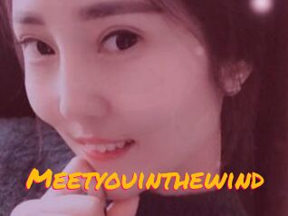 Meetyouinthewind