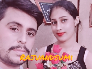 Rajuandsumi