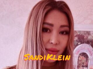 SandiKlein