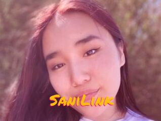 SaniLink