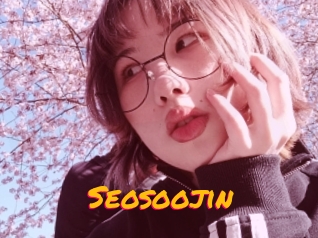 Seosoojin