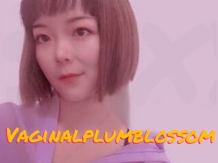 Vaginalplumblossom
