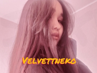 Velvettneko