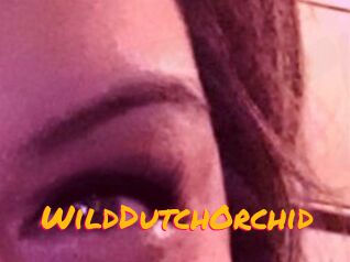 WildDutchOrchid