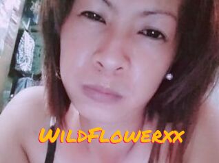 WildFlowerxx