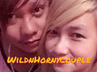 WildnHornyCouple