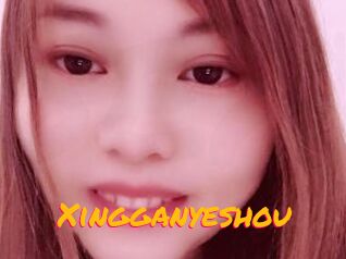 Xingganyeshou