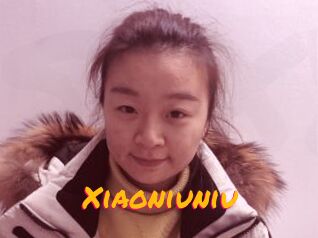 Xiaoniuniu