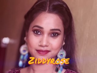 Ziddyrose